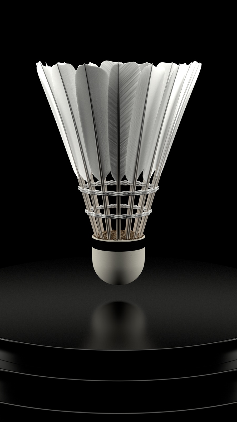 的稳定性与 的稳定性与