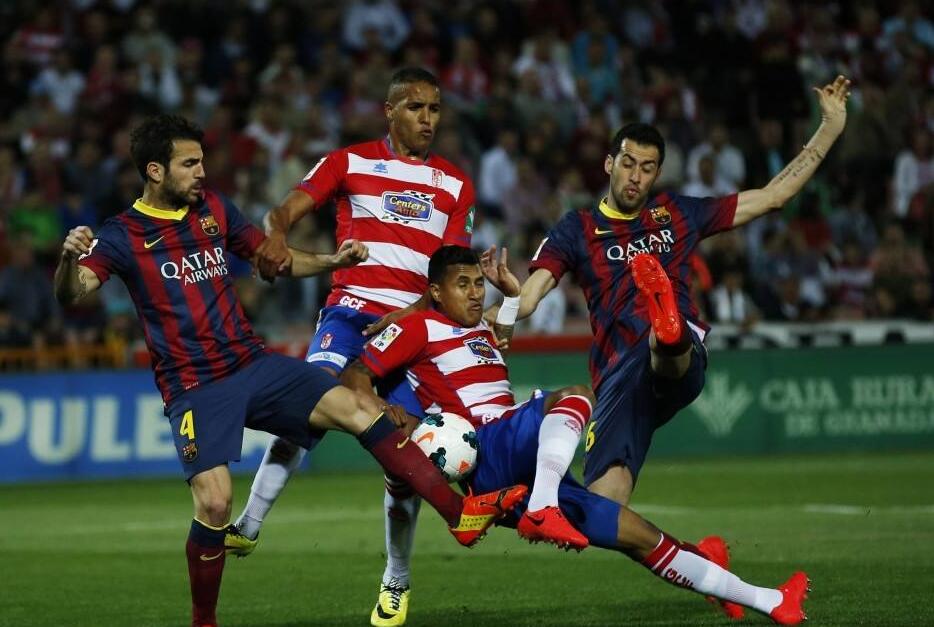 坚持不懈的 坚持不懈的